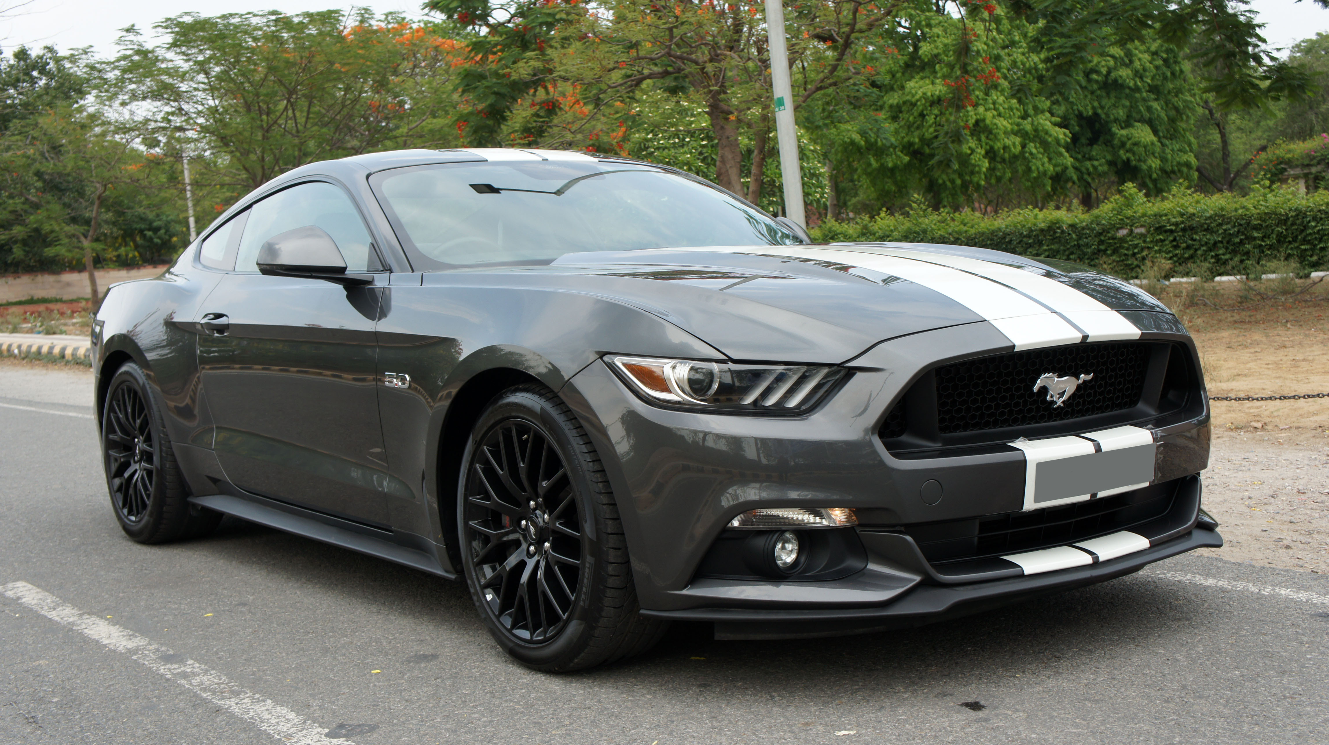 Ford MUSTANG V8 5.0L